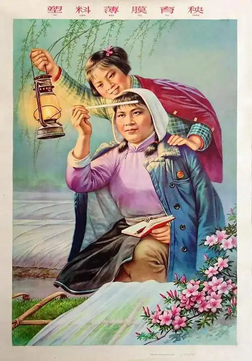 过去年代的科学种田题材农村宣传画