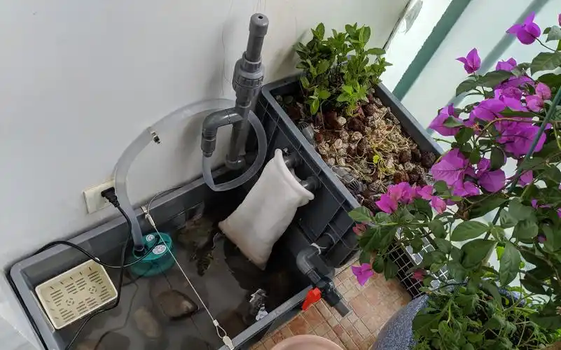 小伙终于放弃新手快乐箱,终于换了沼泽过滤