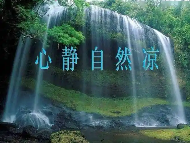 心灵港湾⑩心静自然凉