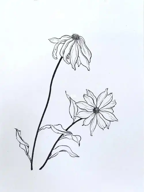 线描过程静态图7分钟可以完成