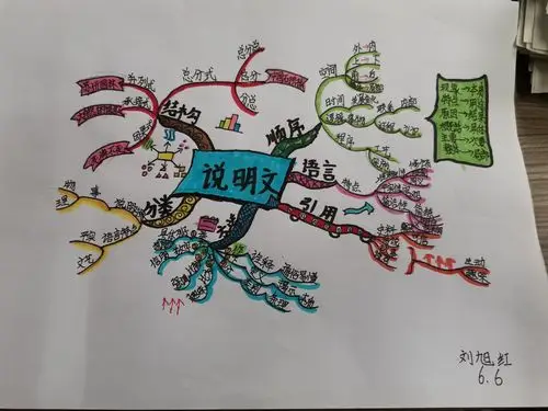 周末说明文导图优秀作业