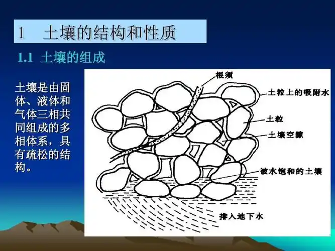 1 土壤的结构和性质 1