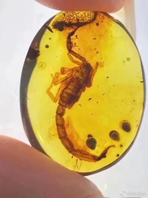 高价买三个虫珀很多网友都说是假的还拿于谦的长颈鹿对比