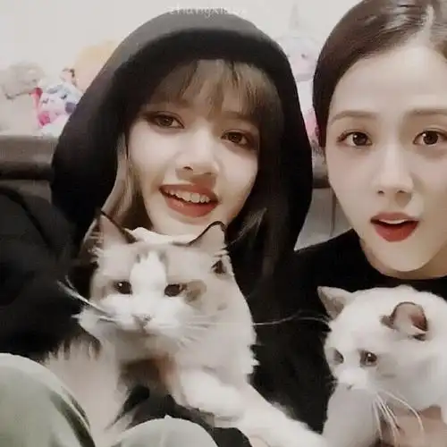 我看见白日梦的尽头是你. jisoo lisa情头 二传找我授权 其他禁.