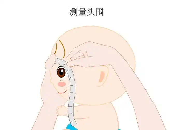 头围与身长,体重是儿童生长发育中需要监测的重要指标,头围的测量在2