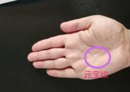 看手相田字纹在手一生注定大富大贵