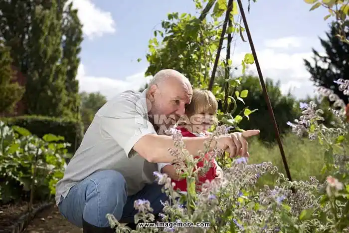a grandfather and his granddaughter looking at plants on an