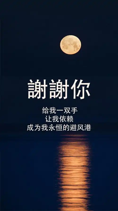 谢谢你永恒的避风港