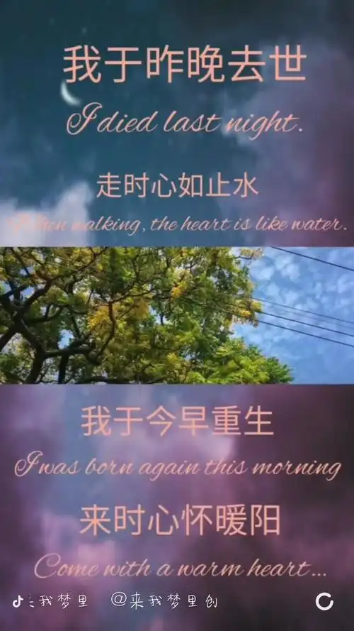 我于2018去世,2019重生