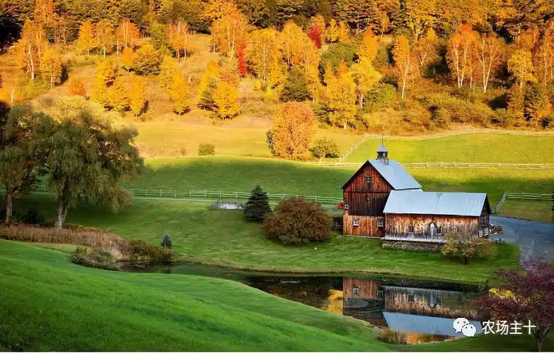 年赚3000万的美国生态休闲家庭农场,如何玩转秋收大季