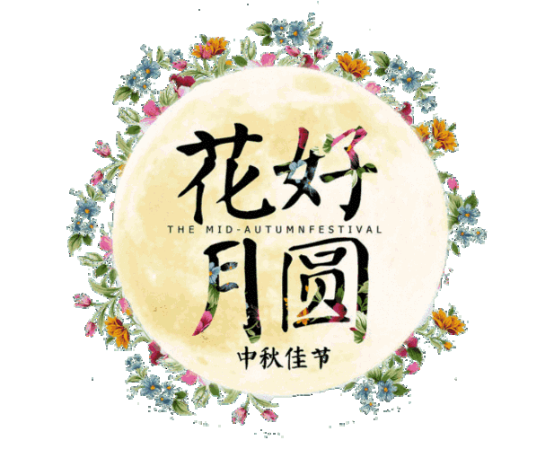 640_519gif 动态图 动图