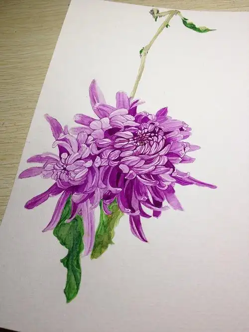 这朵菊花!我画了两天呀!还是个周末!