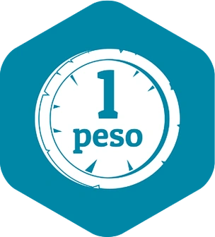 比索的图标比索网的传染媒介象的简单的例证比索图标,简约风格