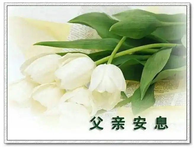 怀念父亲去世十周年.2012农历8月26~2022年农历8月 - 抖音