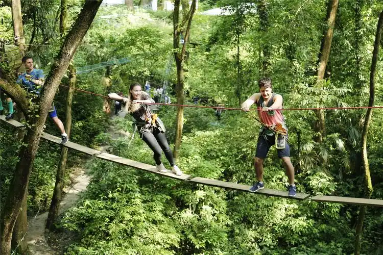 飞越丛林安全带线路