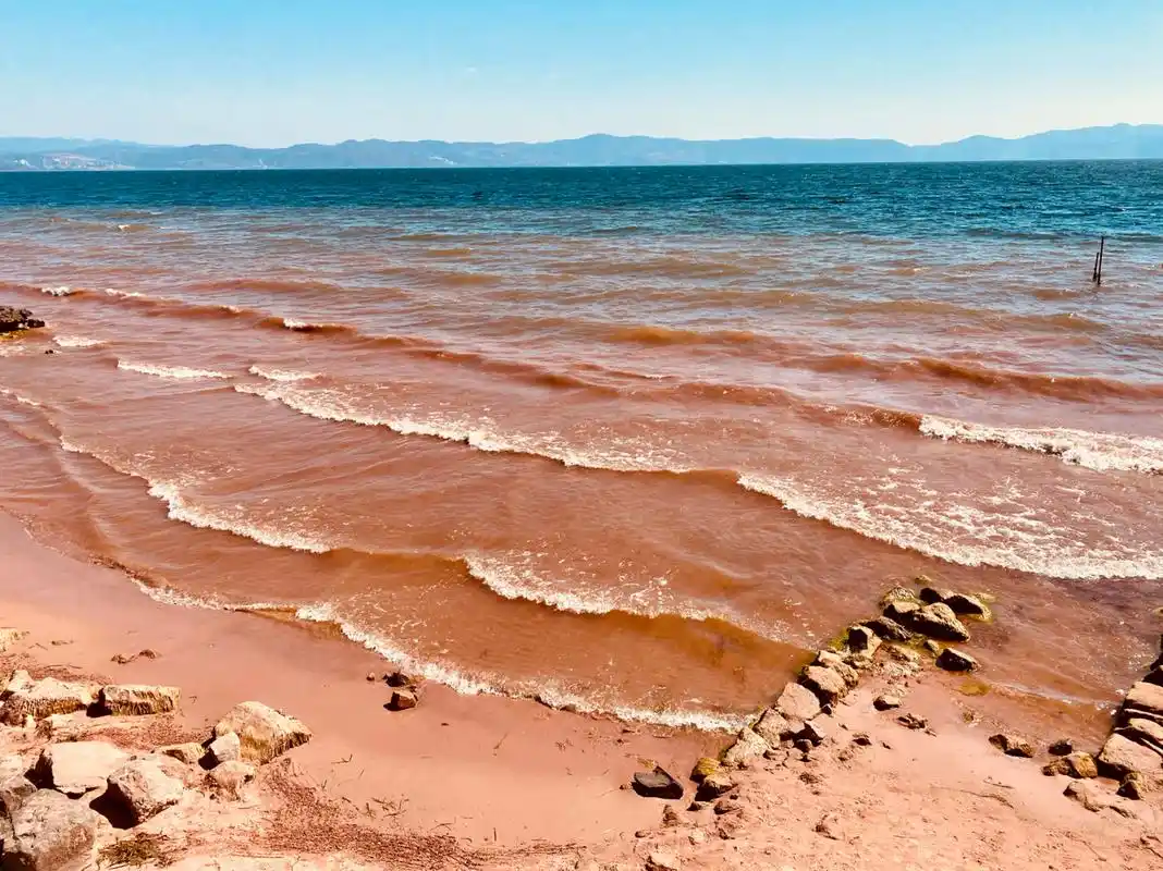抚仙湖红沙滩 #云南旅游攻略