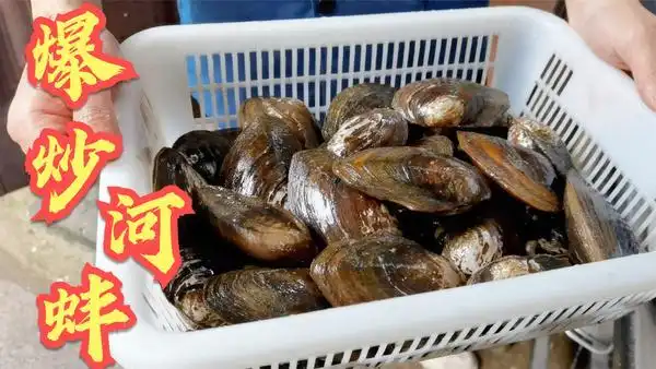 海蚌怎么清洗 海蚌和河蚌有什么区别 海蚌,海鲜