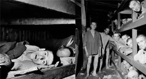 如果身上有纹身的犯人是伊尔斯最喜欢的,她会把犯人单独带到毒气室,先