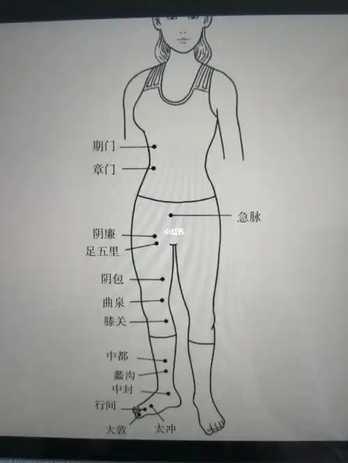 按揉肝经女人的老寒腿不见了