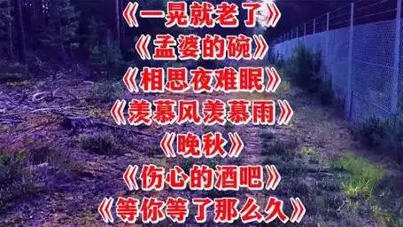 抒情金曲孟婆的碗相思夜难眠等你等了那么久羡慕风羡慕雨