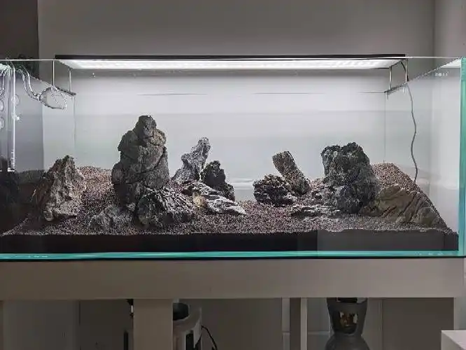 120的石景缸,第一次尝试石景,有点像迷魂阵啊… - 水草造景 - cta南美