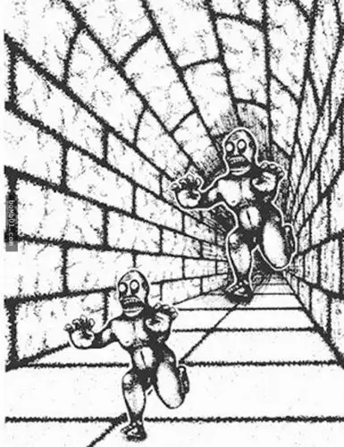 其实这些都是缪勒莱耶错觉   这两个带箭头的直线,哪条更长?