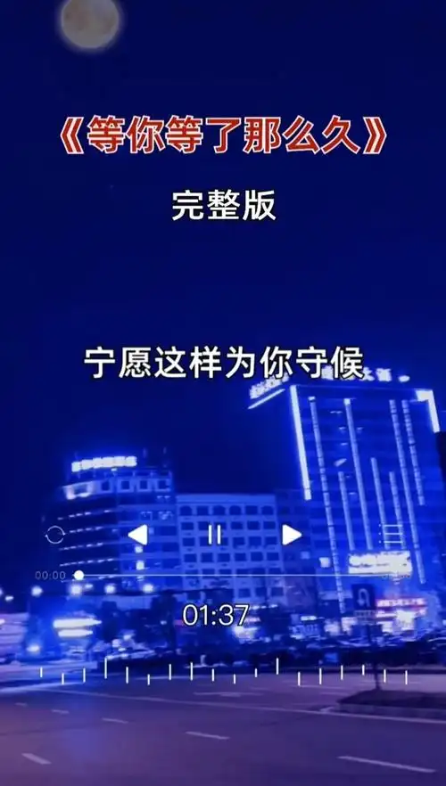 伤感音乐 #经典老歌#等你等了那么久