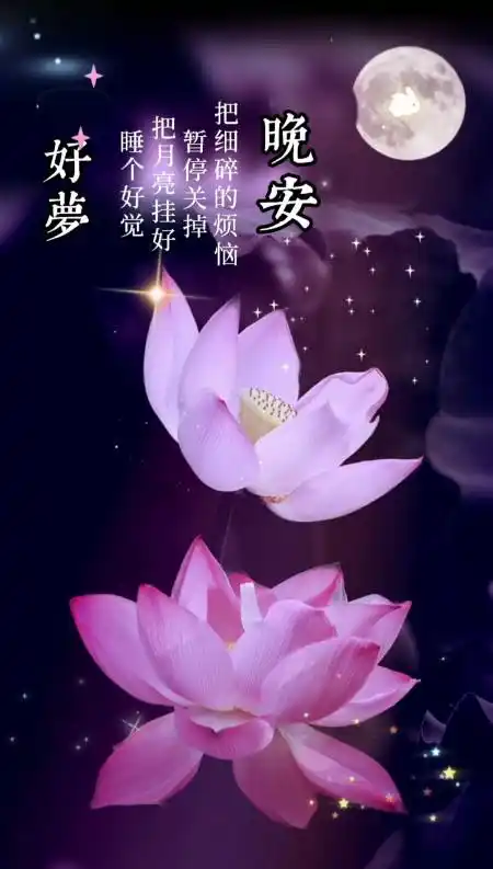 晚安好梦,送走忙碌的一天,忘掉一天的烦恼,回想美好的一天,重温美好的