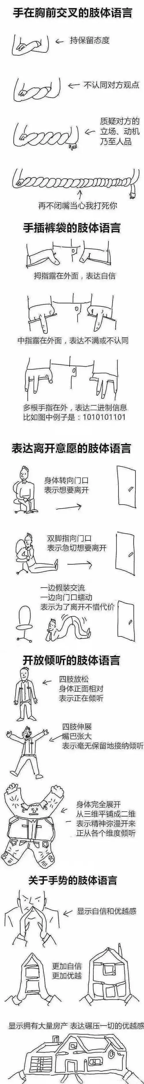 5.论人类的各种肢体语言所表达的含义