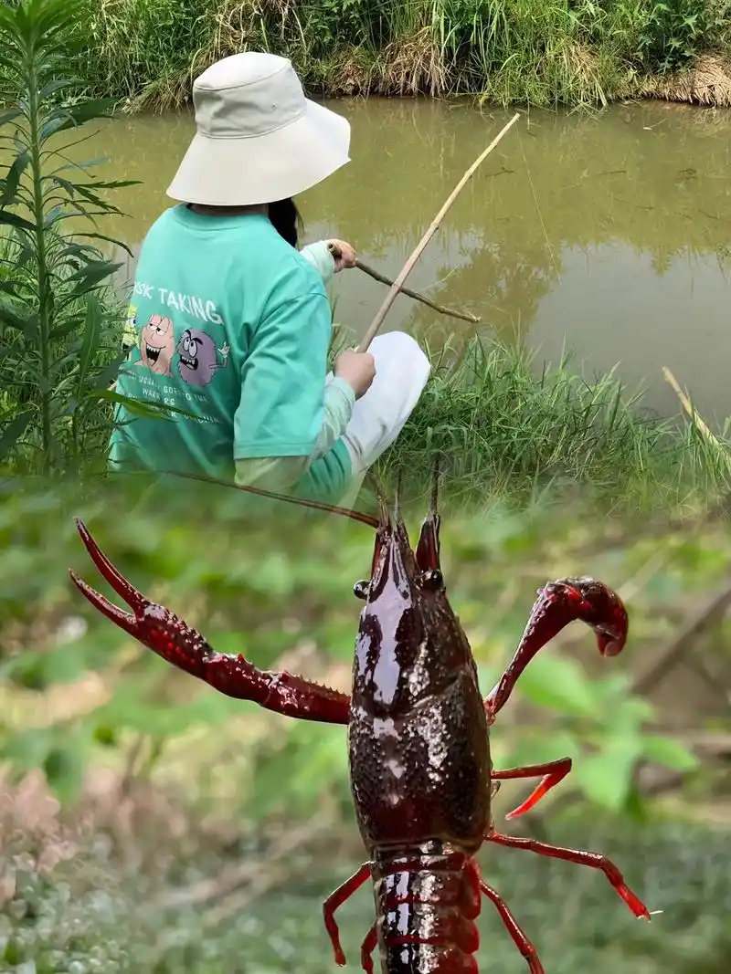 五一钓龙虾好去处 我帮你们找到啦.门票 16项游乐预售票才1 - 抖音