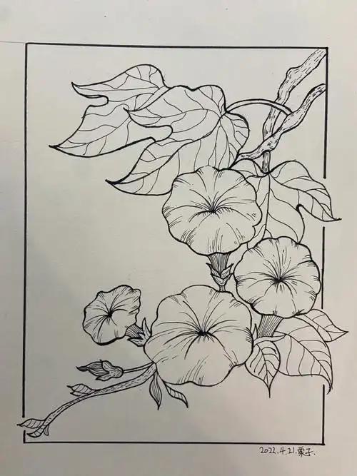 简单好画又出效果,大家赶紧画起来