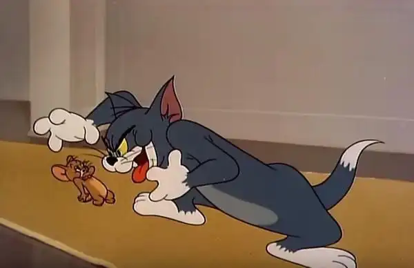汤姆猫与杰利鼠tomandjerry也要出真人版电影