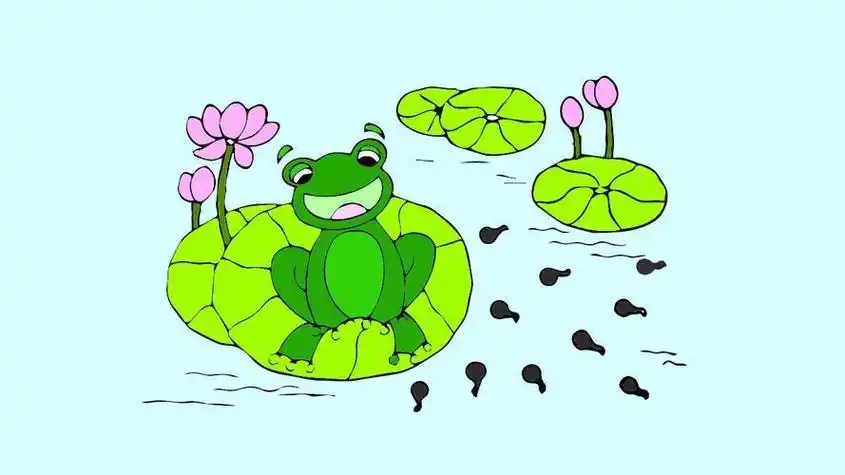小蝌蚪变成青蛙绘本简笔画