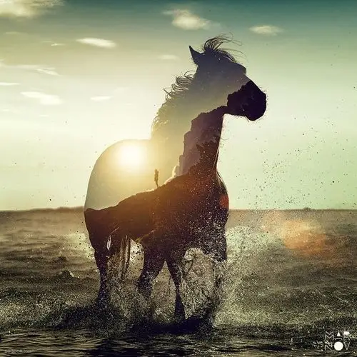 ps素材_ps设计教程_精品图片素材_国外设计师资源分享下载-极素网论坛