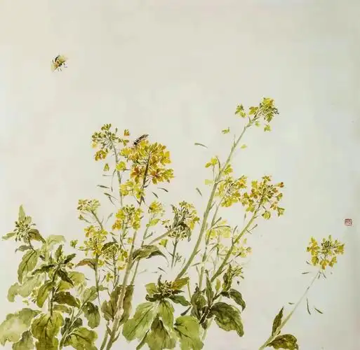 《油菜花》