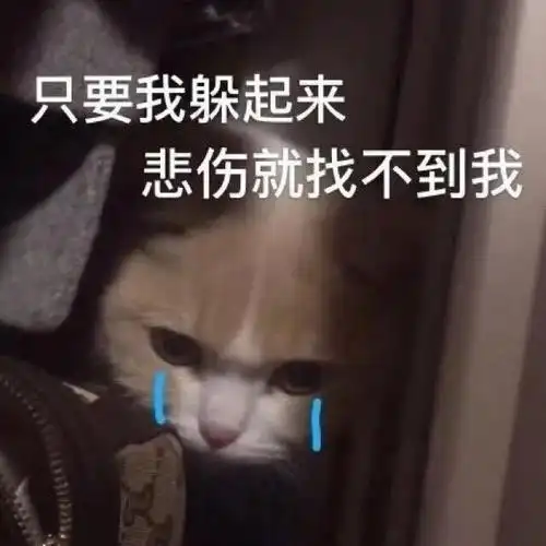 热门表情包原图精选30个表情20200422