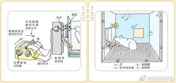 2019-11-3 来自 微博 weibo.com