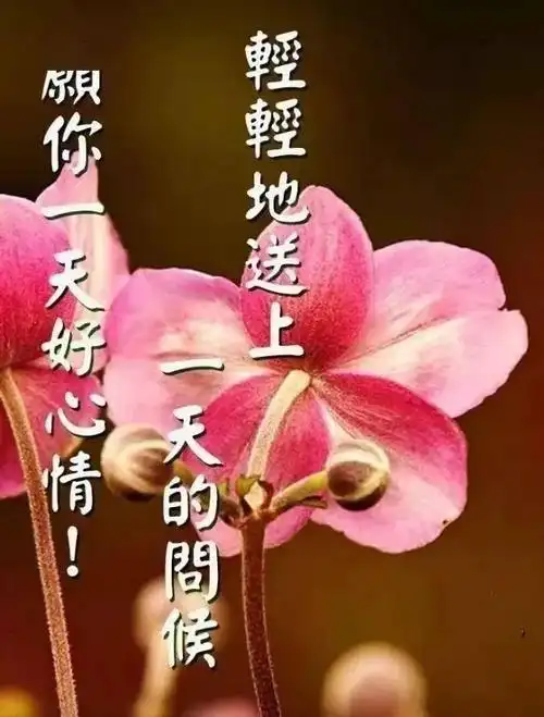 清晨祝福早上好问候语温馨语录 关心问候大家早上好美女动图表情_手机