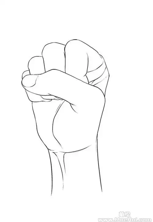 新手练习线稿紧握拳全角度37p