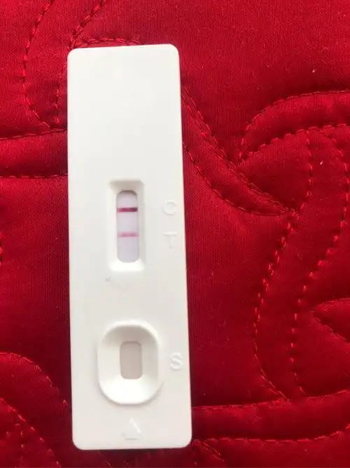 这个是早早孕试纸