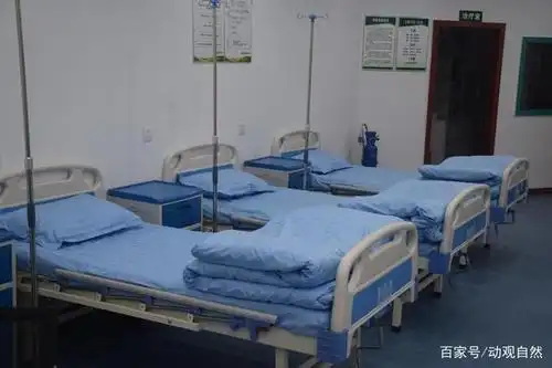 重庆渝北新牌坊王银和诊所内部环境一