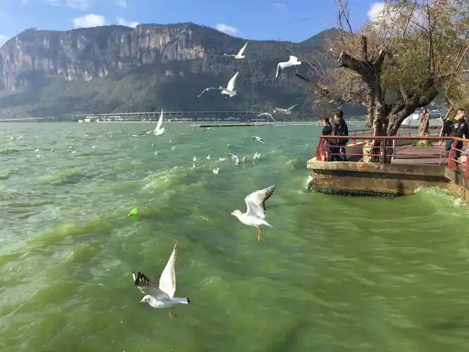 2019滇池_旅游攻略_门票_地址_游记点评,昆明旅游景点推荐 - 去哪儿