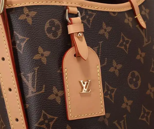 lv 路易威登 m46203 carryall 小号手袋