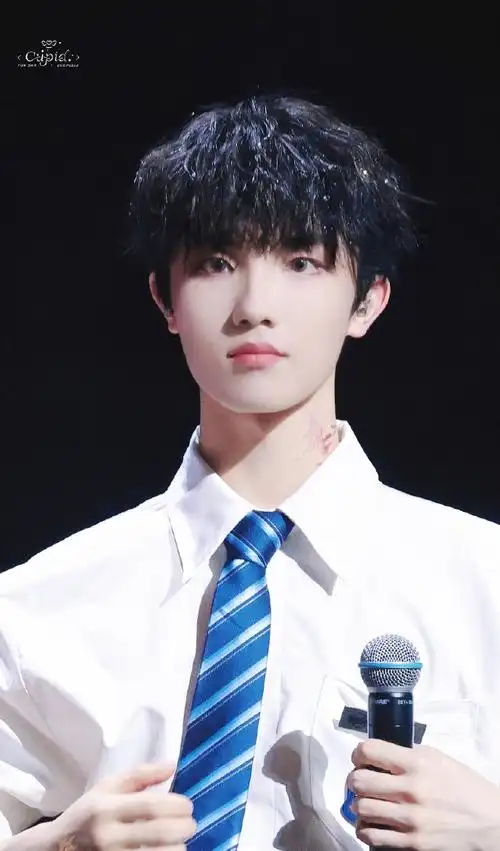 苏新皓 三代淡颜天花板