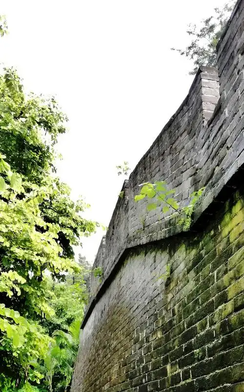 4分钟前 ·阅读11 昆明赵俊昆 关注 广州古城墙始建于明朝洪武十饶觋