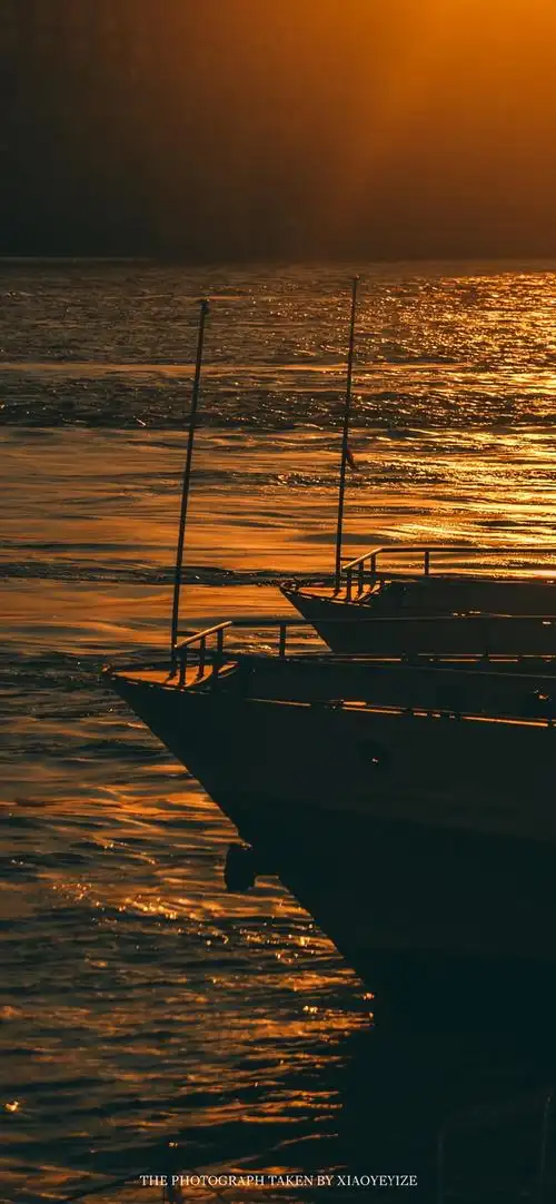 温柔自然唯美落日手机壁纸-风景壁纸 - 壁纸之家