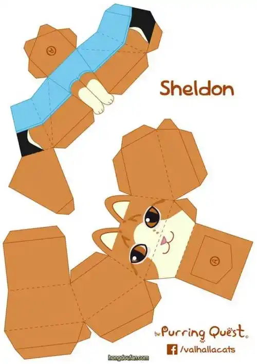 10张可爱的动物纸盒子卡通图纸小猫小鱼小仓鼠纸盒子彩色图纸下载