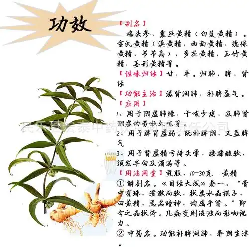 酒黄精的功效与作用功效和作用还真不少