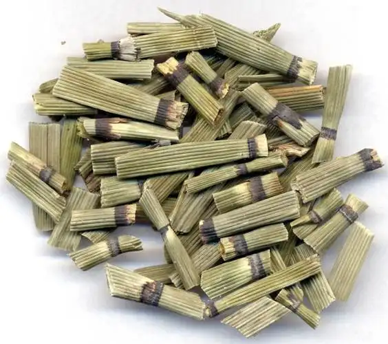 能治眼疾,脚气,崩漏的节节草,很多人却不认识它!