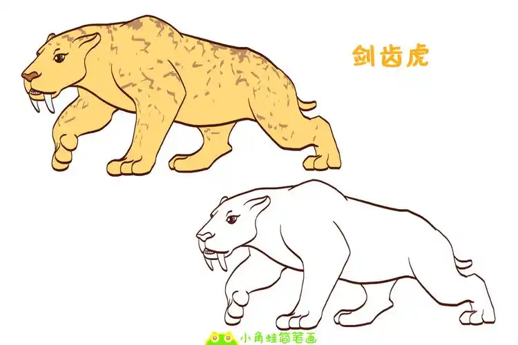 剑齿虎介绍剑齿虎和老虎简笔画